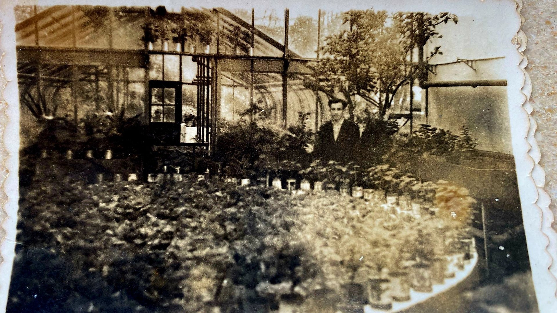 gradinarul octavian blagoi
